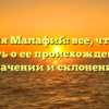 Фамилия Малафий: все, что нужно знать о ее происхождении, значении и склонении