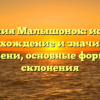 Фамилия Малышонок: история, происхождение и значимость имени, основные формы склонения