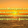 Фамилия Мамурин: история происхождения и значимость, правильное склонение и интересные факты