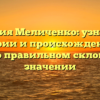 Фамилия Меличенко: узнайте об истории и происхождении, а также о правильном склонении и значении