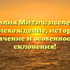 Фамилия Митич: исследуем происхождение, историю, значение и особенности склонения!