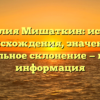 Фамилия Мишаткин: история происхождения, значение и правильное склонение — полная информация