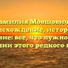 Фамилия Мовшович — происхождение, история и склонение: все, что нужно знать о значении этого редкого имени