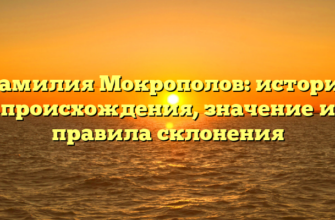 Фамилия Мокрополов: история происхождения, значение и правила склонения