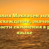 Фамилия Мохначев: история происхождения, значения и особенности склонения в русском языке