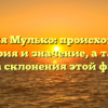 Фамилия Мулько: происхождение, история и значение, а также правила склонения этой фамилии