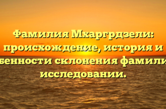 Фамилия Мхаргрдзели: происхождение, история и особенности склонения фамилии в исследовании.