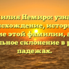 Фамилия Немиро: узнайте происхождение, историю и значение этой фамилии, а также правильное склонение в разных падежах.