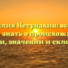 Фамилия Нетунахин: всё, что нужно знать о происхождении, истории, значении и склонении!