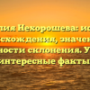 Фамилия Нехорошева: история происхождения, значение и особенности склонения. Узнайте интересные факты!