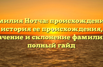 Фамилия Нотча: происхождение и история ее происхождения, значение и склонение фамилии — полный гайд