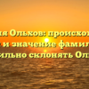 Фамилия Ольхов: происхождение, история и значение фамилии. Как правильно склонять Ольхов?