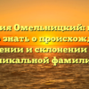 Фамилия Омельницкий: все, что нужно знать о происхождении, значении и склонении этой уникальной фамилии