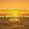 Фамилия Осита: история, происхождение, значение и склонение фамилии в подробном обзоре