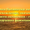 Фамилия Паляничка: история происхождения, значения и особенности склонения — гайд для изучения фамилии.