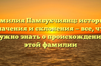 Фамилия Памбухчиянц: история, значения и склонения — все, что нужно знать о происхождении этой фамилии