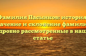 Фамилия Пасынков: история, значение и склонение фамилии, подробно рассмотренные в нашей статье