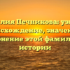 Фамилия Печникова: узнайте происхождение, значение и склонение этой фамилии в истории