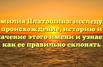 Фамилия Платошина: исследуем происхождение, историю и значение этого имени и узнаем, как ее правильно склонять