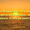 Фамилия Плащ: все, что вы хотели знать о происхождении, значении и склонении этого редкого имени