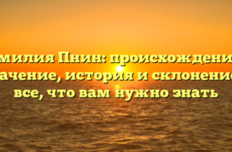 Фамилия Пнин: происхождение и значение, история и склонение — все, что вам нужно знать