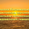 Фамилия Подземельный: родословная, значение и правильное склонение для исследователей генеалогии