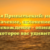 Фамилия Прибыльский: история и значение, склонение и происхождение – описание, которое вас удивит!