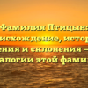 Фамилия Птицын: происхождение, история, значения и склонения — все о генеалогии этой фамилии!