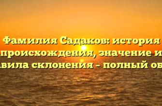 Фамилия Садаков: история происхождения, значение и правила склонения – полный обзор