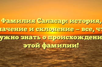 Фамилия Саласар: история, значение и склонение — все, что нужно знать о происхождении этой фамилии!