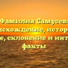 Фамилия Самусев: происхождение, история и значение, склонение и интересные факты