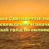 Фамилия Сангинетти: история, происхождение и значения, полный гайд по склонению