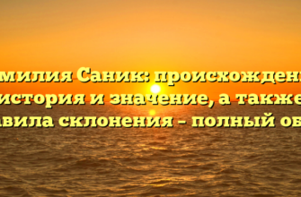 Фамилия Саник: происхождение, история и значение, а также правила склонения – полный обзор