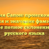 Фамилия Сапон: происхождение, история и значение фамилии, а также полное склонение для русского языка