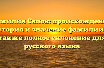 Фамилия Сапон: происхождение, история и значение фамилии, а также полное склонение для русского языка