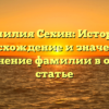 Фамилия Сехин: История, происхождение и значение + склонение фамилии в одной статье