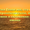 Фамилия Синю: все, что нужно знать о происхождении, истории, значении и склонении этого имени