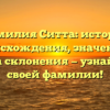 Фамилия Ситта: история происхождения, значение и правила склонения — узнайте все о своей фамилии!