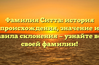 Фамилия Ситта: история происхождения, значение и правила склонения — узнайте все о своей фамилии!