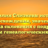 Фамилия Слизнева: история происхождения, значение и правила склонения с подробным обзором генеалогических связей