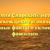 Фамилия Снарский: история, происхождение и значения, основные факты о склонении фамилии