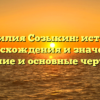 Фамилия Созыкин: история происхождения и значение, склонение и основные черты рода