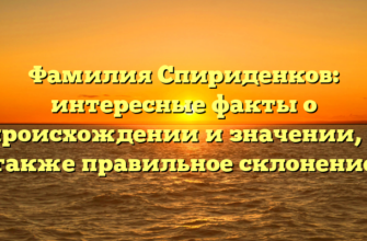 Фамилия Спириденков: интересные факты о происхождении и значении, а также правильное склонение