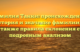 Фамилия Такки: происхождение, история и значение фамилии, а также правила склонения с подробным анализом