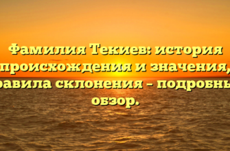 Фамилия Текиев: история происхождения и значения, правила склонения – подробный обзор.