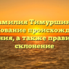 Фамилия Тимуршина: исследование происхождения и значения, а также правильное склонение