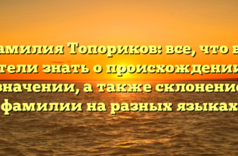 Фамилия Топориков: все, что вы хотели знать о происхождении и значении, а также склонение фамилии на разных языках