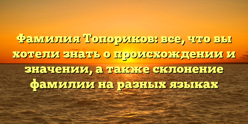 Фамилия Топориков: все, что вы хотели знать о происхождении и значении, а также склонение фамилии на разных языках