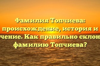 Фамилия Топчиева: происхождение, история и значение. Как правильно склонять фамилию Топчиева?