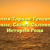 Фамилия Торков: Генеалогия, Значение, Схема Склонения и История Рода